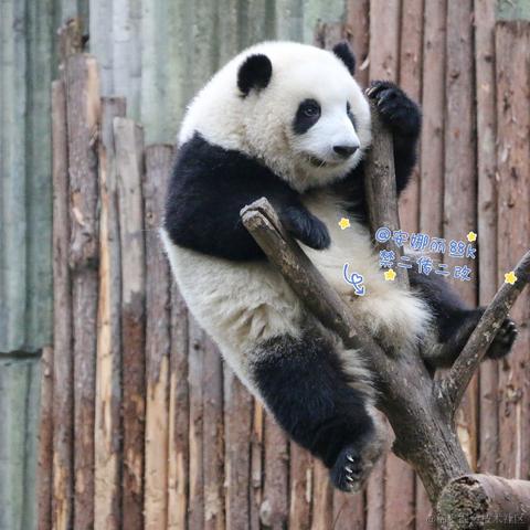 Ricardo_M_Eric于2023-05-21 20:47发布的图片