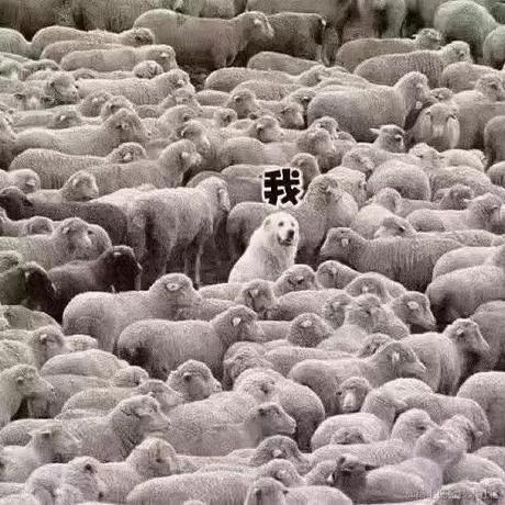 蜜拉贝儿于2022-12-18 20:30发布的图片