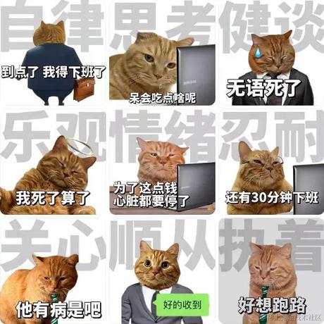 共饮一杯无于2022-10-28 13:57发布的图片