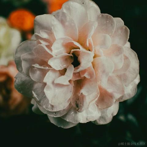 whp404于2023-05-12 15:31发布的图片