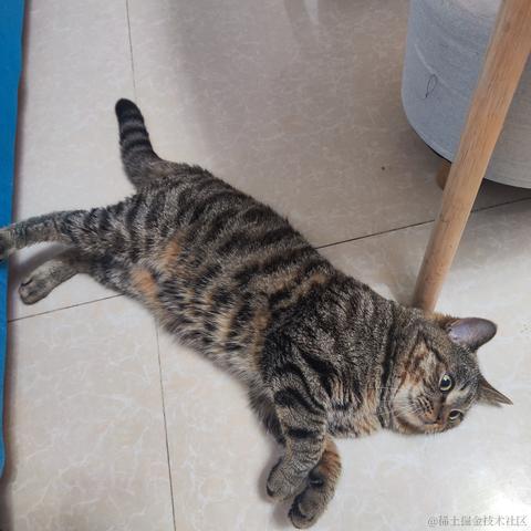 寒霜于2023-05-19 10:05发布的图片