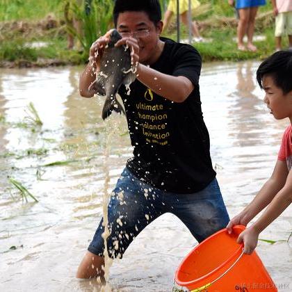 李意绵于2021-03-12 13:57发布的图片