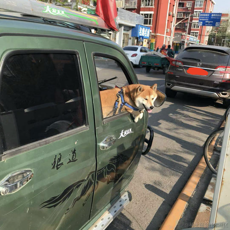 Coke于2021-04-06 10:04发布的图片