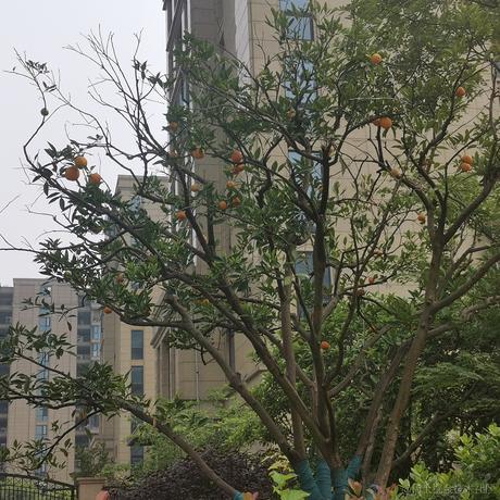 旺旺99于2023-05-21 16:21发布的图片