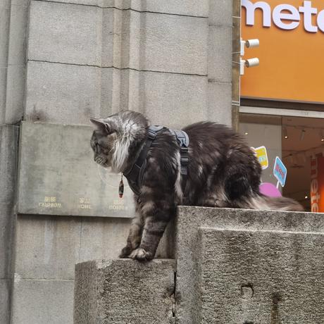 瓜瓜飞上天于2023-06-20 20:16发布的图片