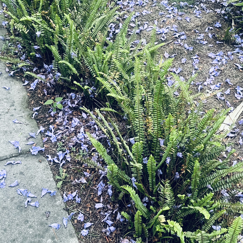 安酱于2023-05-19 23:34发布的图片