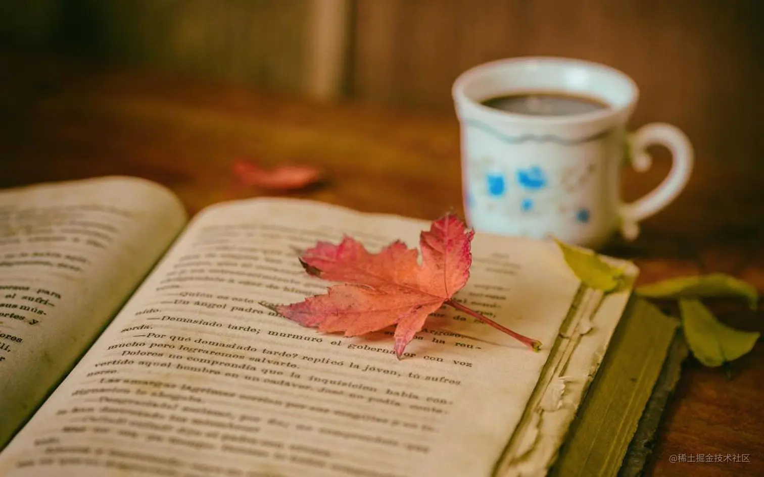 src=http___pic1.win4000.com_wallpaper_2018-08-15_5b73f524df035.jpg&refer=http___pic1.win4000.jfif