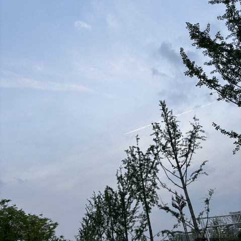 秋山澪于2024-04-28 10:09发布的图片
