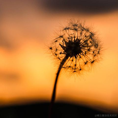 代码拼凑大师于2020-09-30 11:56发布的图片