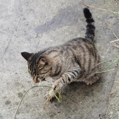 小橙子呀于2022-11-03 16:42发布的图片