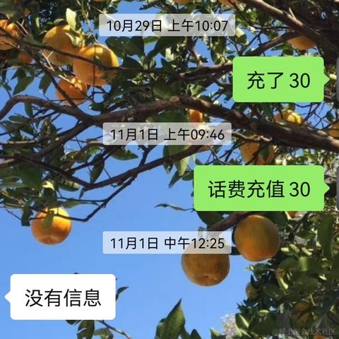 朱丽娜于2021-12-01 10:44发布的图片
