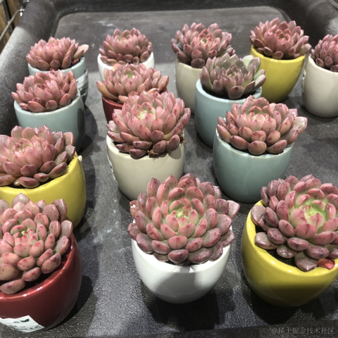 Read62990于2022-02-19 10:47发布的图片