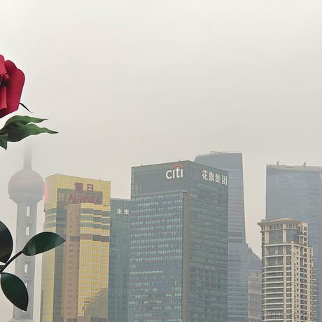 祝您天天BUG于2023-05-20 12:49发布的图片