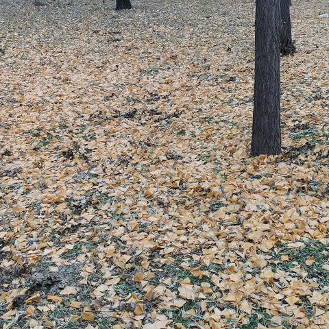 Drz于2022-11-10 15:00发布的图片