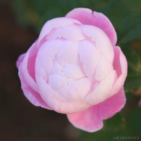 向晚的妻子于2022-11-09 18:35发布的图片