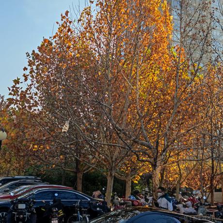 晚宝怀里的碗宝于2022-11-21 09:19发布的图片