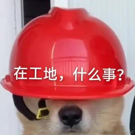 则则于2023-02-27 10:34发布的图片