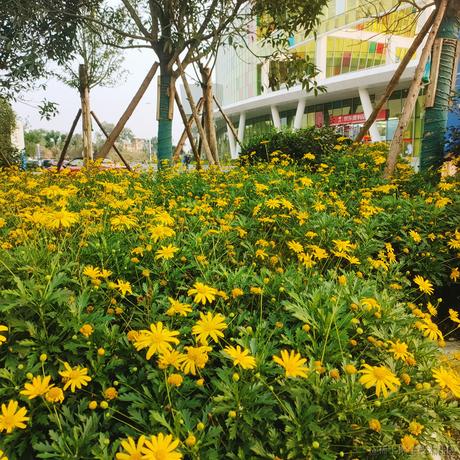 冬日米球于2023-02-03 09:40发布的图片