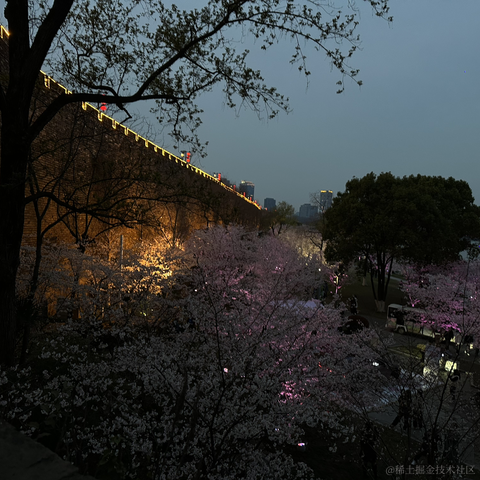 自由的_鱼于2023-03-20 17:33发布的图片