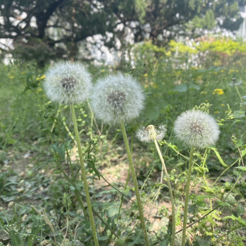 Deborah倩倩于2021-04-23 13:04发布的图片
