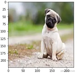 dog.png