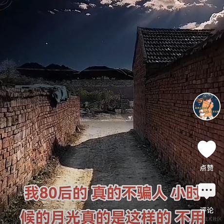 夜猫本猫于2024-04-07 19:21发布的图片