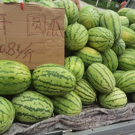 一卷菜狗于2023-07-08 12:30发布的图片