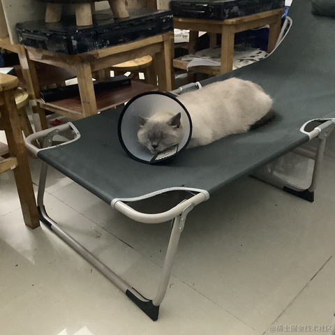 是然比不是猪比于2023-06-30 22:47发布的图片