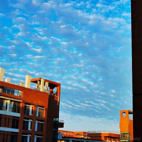 maskira于2022-11-29 13:57发布的图片