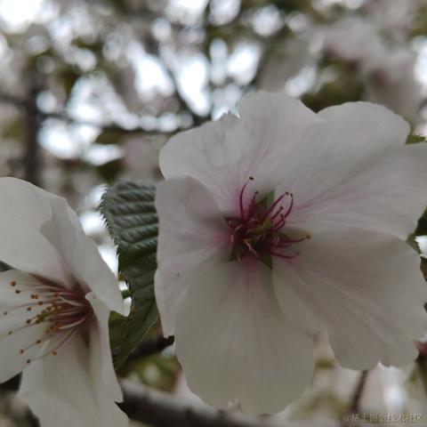 getify于2023-03-25 17:01发布的图片