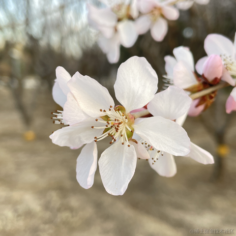无辜的玫瑰花于2023-03-18 18:05发布的图片