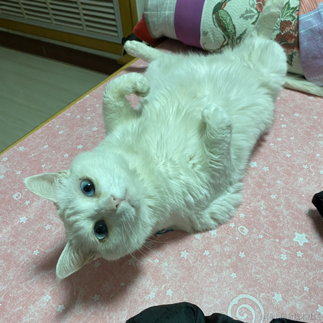 钮钴禄仙贝于2022-12-16 22:24发布的图片