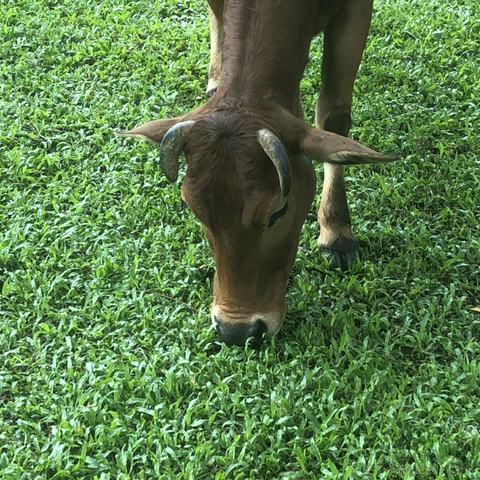 懵逼睡睡猫于2023-04-11 16:30发布的图片