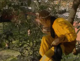 0.gif