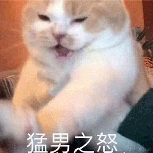 尼古拉斯阿柴于2023-01-09 10:33发布的图片