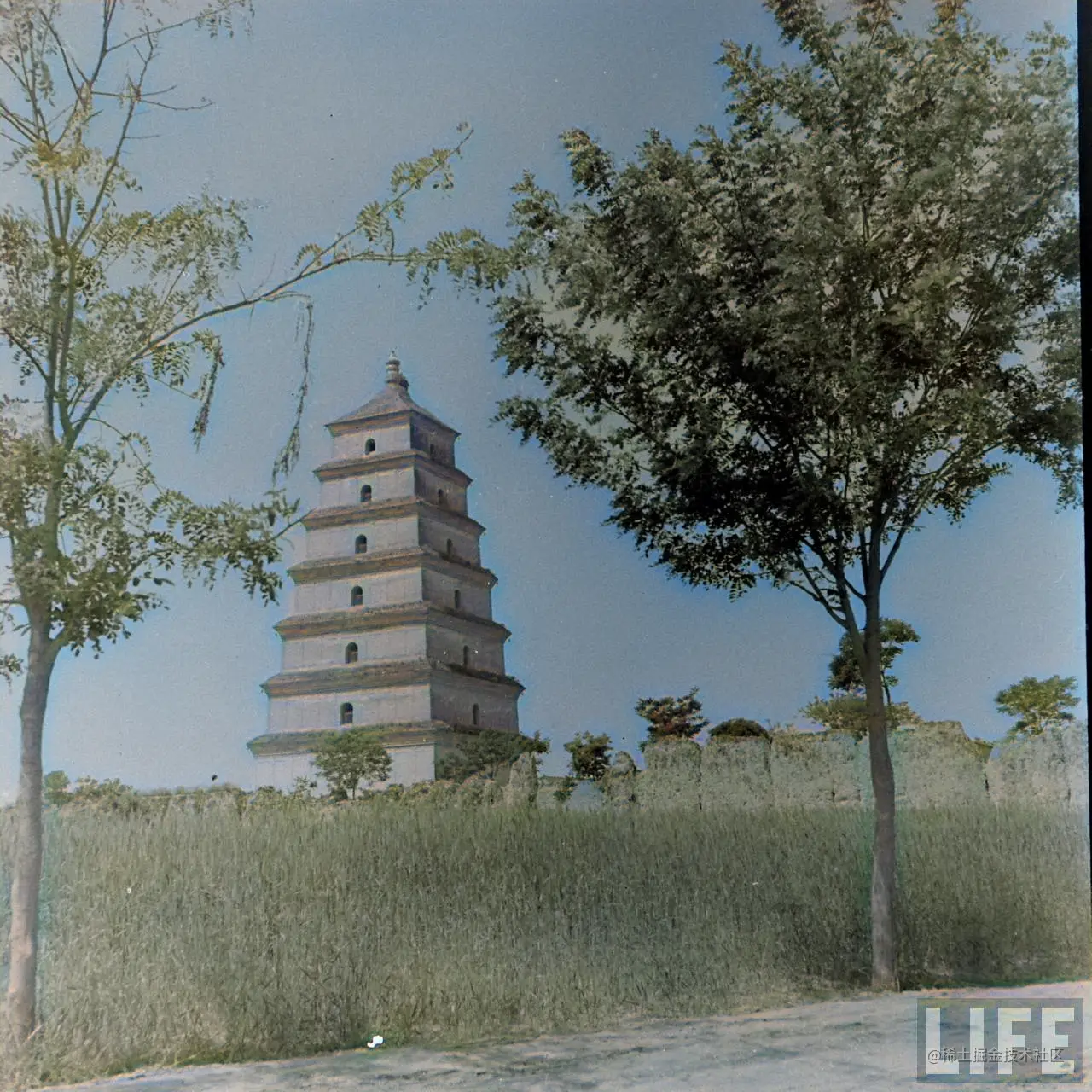 1947年，陕西西安。大雁塔。2.png