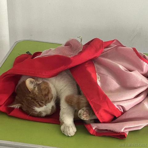 Coca_Cola于2022-12-02 20:30发布的图片