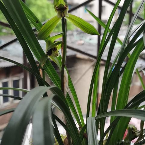 已注销于2022-04-01 08:18发布的图片