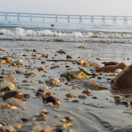 蒸虾头于2022-11-09 04:32发布的图片