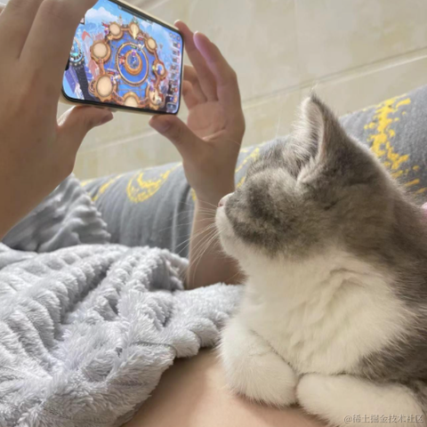 我不想丸辣于2022-03-01 09:34发布的图片