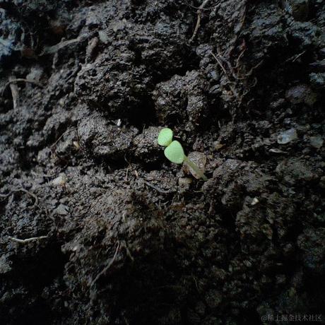 德育处主任于2022-06-07 06:53发布的图片