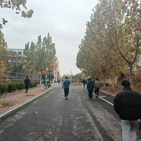 鱼礼拜二于2022-11-12 14:01发布的图片