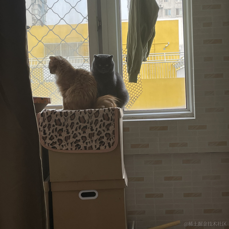 DD_于2023-05-15 15:39发布的图片