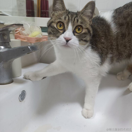 小白是天才于2023-07-01 18:31发布的图片