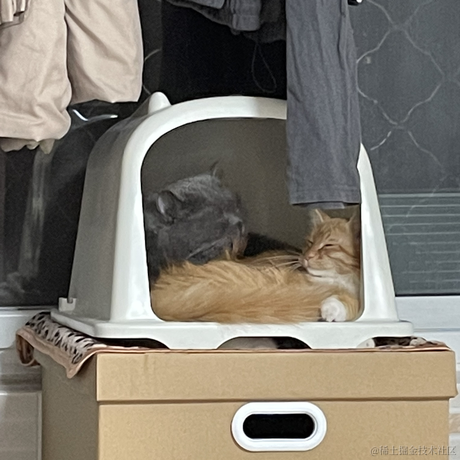 DD_于2023-05-23 09:01发布的图片