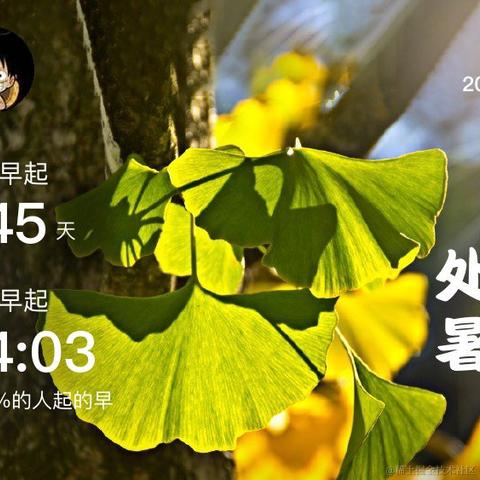 刘小爱于2020-08-22 09:49发布的图片