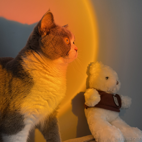 白茶清欢无别事o于2021-08-17 11:41发布的图片