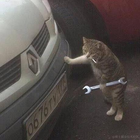 无雨猫猫于2022-12-20 00:30发布的图片