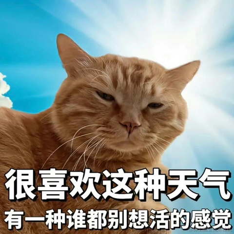 面包泡牛奶于2023-06-09 09:22发布的图片