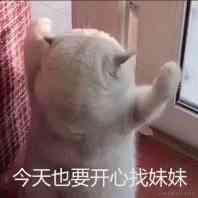 Cxs__cao于2021-01-08 16:16发布的图片